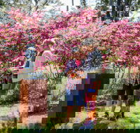 Sculpture at Petana - Tourism Gold Coast