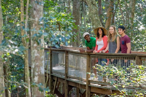 Sea Acres Rainforest Centre - Tourism Gold Coast 1