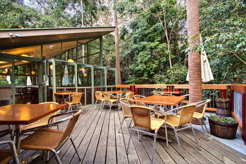 Sea Acres Rainforest Centre - Tourism Gold Coast 2