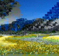 Shearer's Way - Tourism Gold Coast