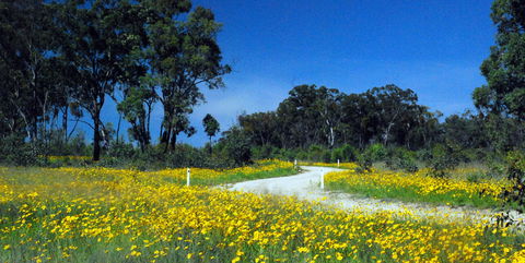 Shearer's Way - Tourism Gold Coast 0