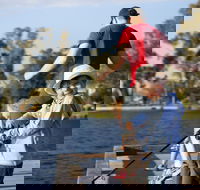 Shepparton - Gold Coast