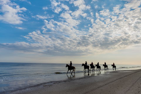 South Coast Experiences - Tourism Gold Coast 2