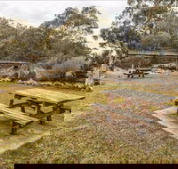 Thredbo River picnic area - Tourism Gold Coast