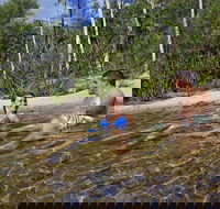 Tjaynera Falls Sandy Creek - Tourism Gold Coast