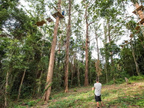 TreeTop Challenge - Sunshine Coast - Tourism Gold Coast 1