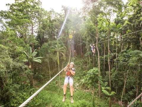 TreeTop Challenge - Sunshine Coast - Tourism Gold Coast 2