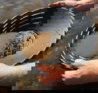 Tuena Panning for Gold - Tourism Gold Coast