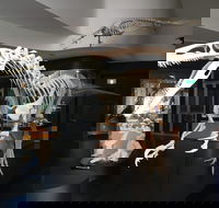 UNE Natural History Museum - Tourism Gold Coast