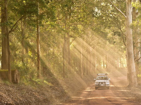 Walpole - Gold Coast 1