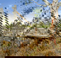 Wandoan - Tourism Gold Coast