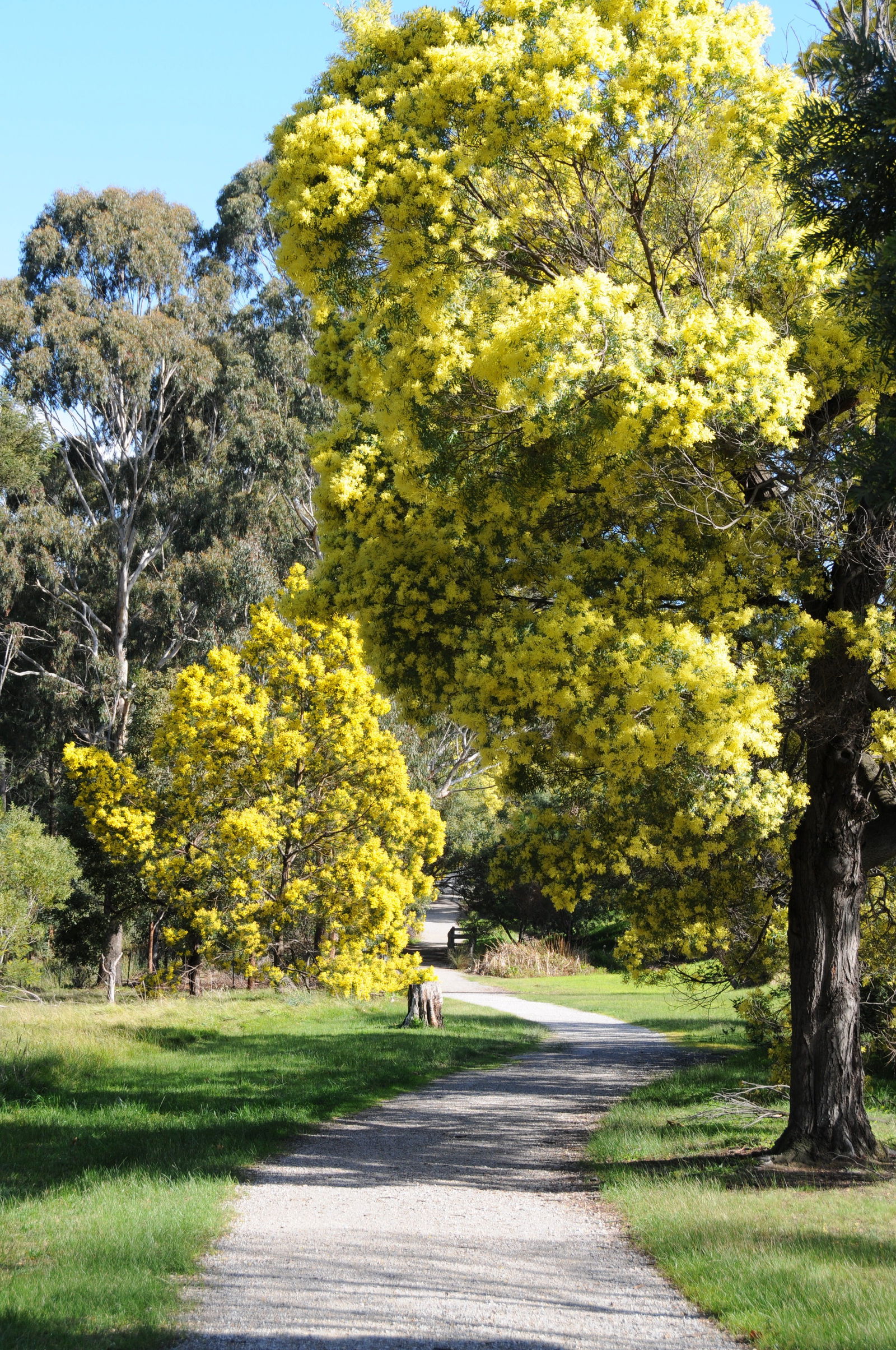 Burwood East VIC Tourism Gold Coast