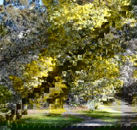 Wattle Park - Tourism Gold Coast
