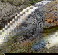 Waterfall Way Scenic Drive - Tourism Gold Coast