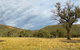 Weddin Mountains National Park - thumb 0