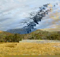 Weddin Mountains National Park - Gold Coast