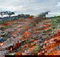 Western Ridge Walk - Tourism Gold Coast