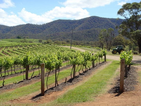 Wollombi - Tourism Gold Coast 1