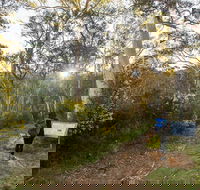 Yarrangobilly Caves  River walk - Tourism Gold Coast