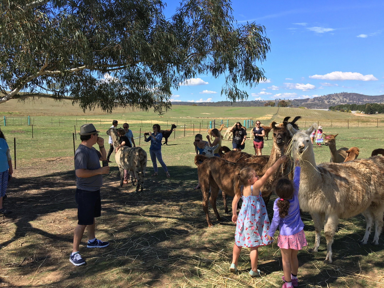 Urila NSW Tourism Gold Coast