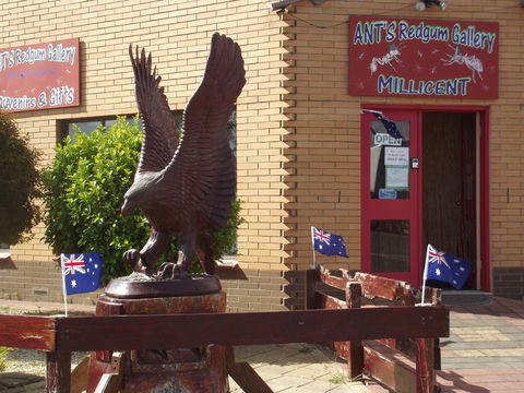Ant's Redgum Gallery - Tourism Gold Coast 0