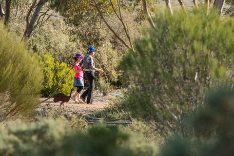 Australian Arid Lands Botanic Garden - Gold Coast 0