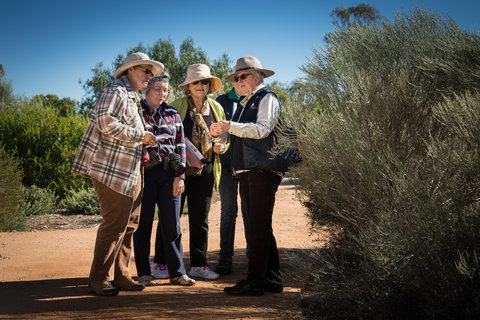 Australian Arid Lands Botanic Garden - Gold Coast 2