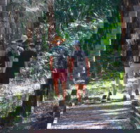 Banksia Track Burrum Coast National Park - Tourism Gold Coast