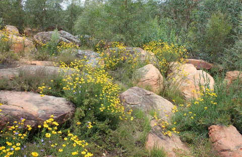 Ben Hall's Cave Walking Track - Tourism Gold Coast 0