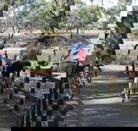 Bidgee Riverside Trail  - Hay Nature Walk - Tourism Gold Coast