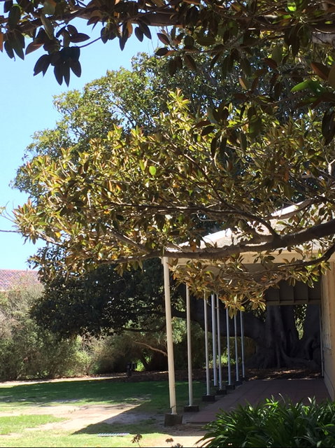 Black Rock House - Tourism Gold Coast 1