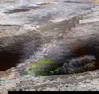 Blowhole and the Rocks - Tourism Gold Coast