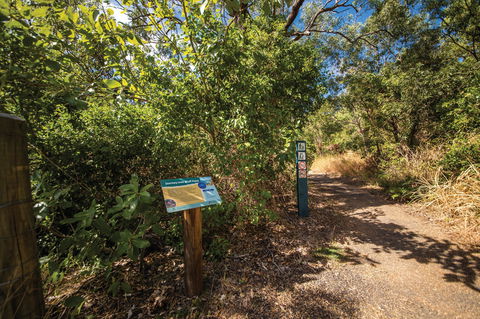 Bluff Point Circuit, Capricorn Coast National Park - Tourism Gold Coast 1