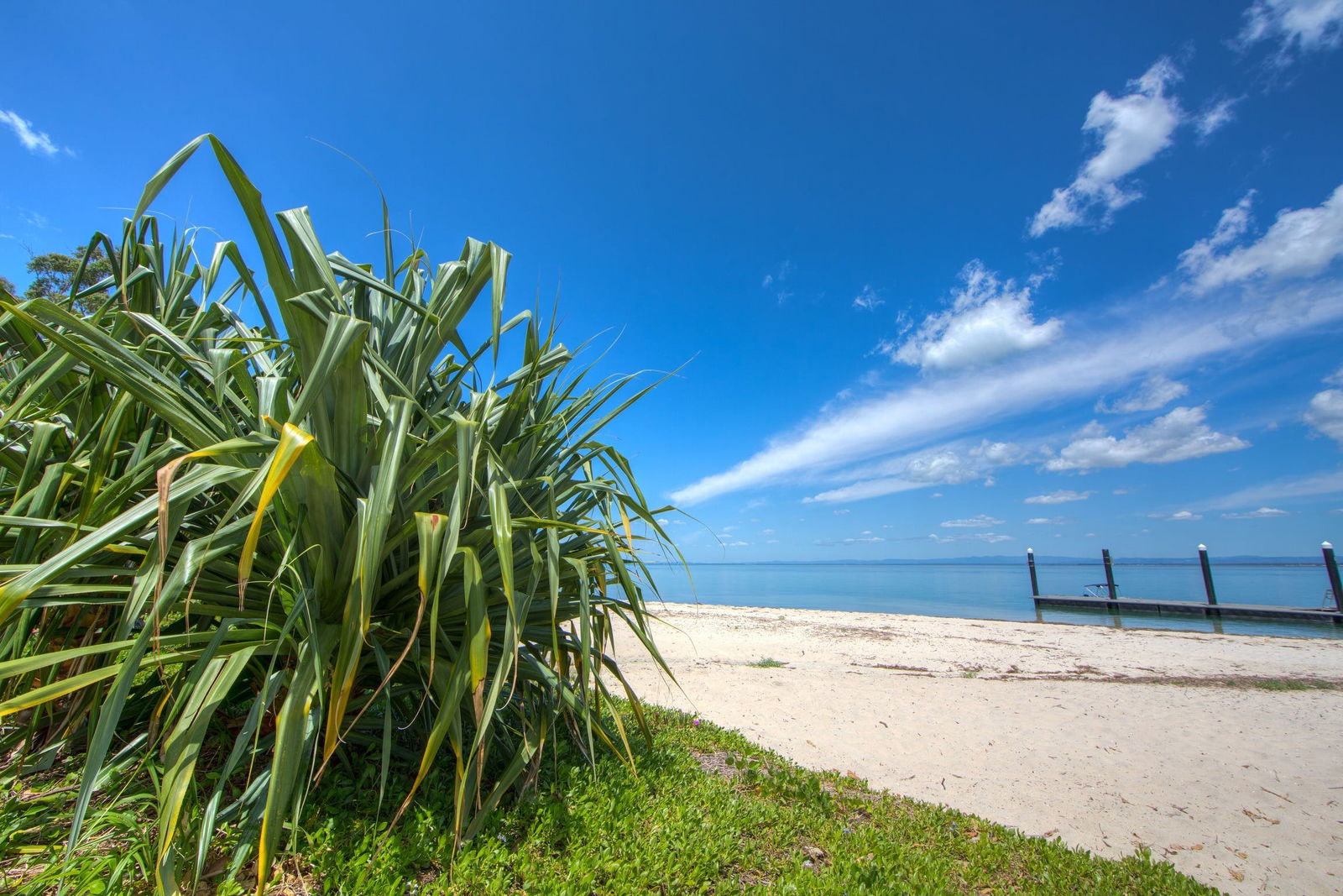 Bongaree QLD Tourism Gold Coast