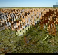 Borroloola - Tourism Gold Coast