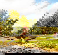 Bright - Tourism Gold Coast