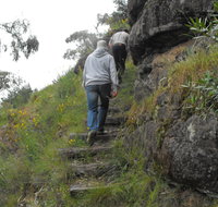 Bundidgerry Walking Track - Tourism Gold Coast
