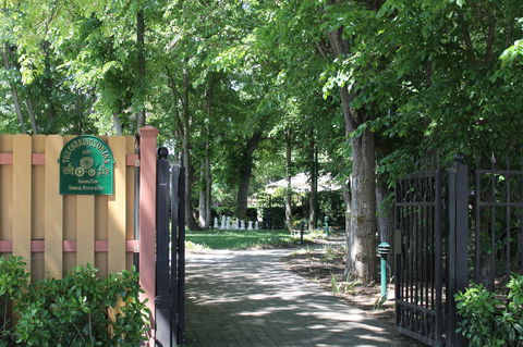 Bungendore Heritage Walk - Tourism Gold Coast 0