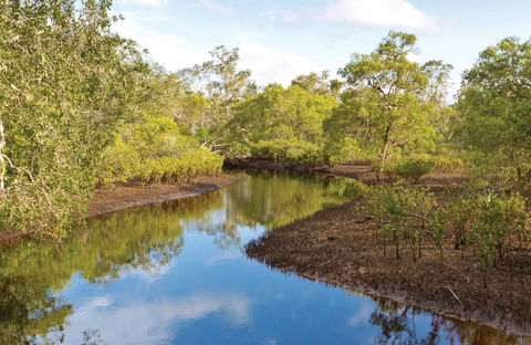 Canoe Evans River Paddle Route - Tourism Gold Coast 0