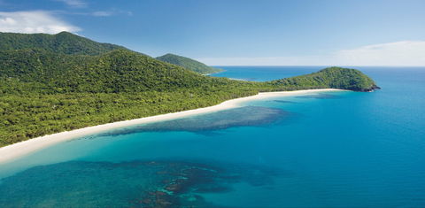 Cape Tribulation, Daintree National Park - Tourism Gold Coast 0