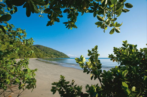 Cape Tribulation, Daintree National Park - Tourism Gold Coast 1