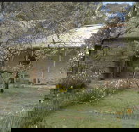 Castlemaine Diggings National Heritage Park - Tourism Gold Coast