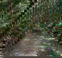 Cascades Walk - Gold Coast