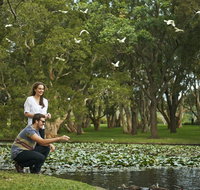 Centennial Parklands - Tourism Gold Coast