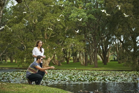 Centennial Parklands - Tourism Gold Coast 0
