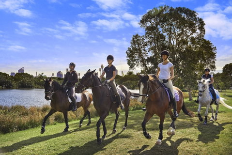 Centennial Parklands - Tourism Gold Coast 1