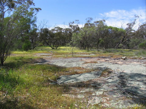 Christmas Rock Walk - Tourism Gold Coast 0