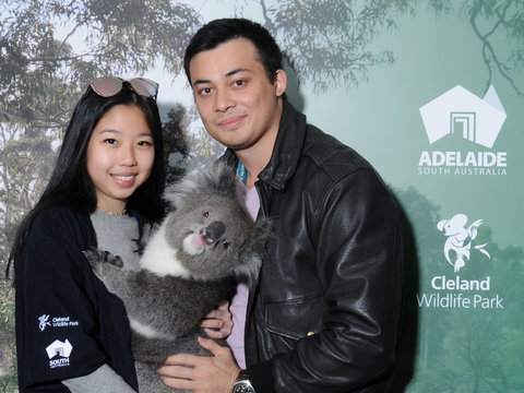 Cleland Wildlife Park - Koala Hold - Tourism Gold Coast 0