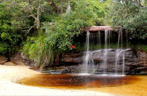 Collins Flat Beach - Tourism Gold Coast 0