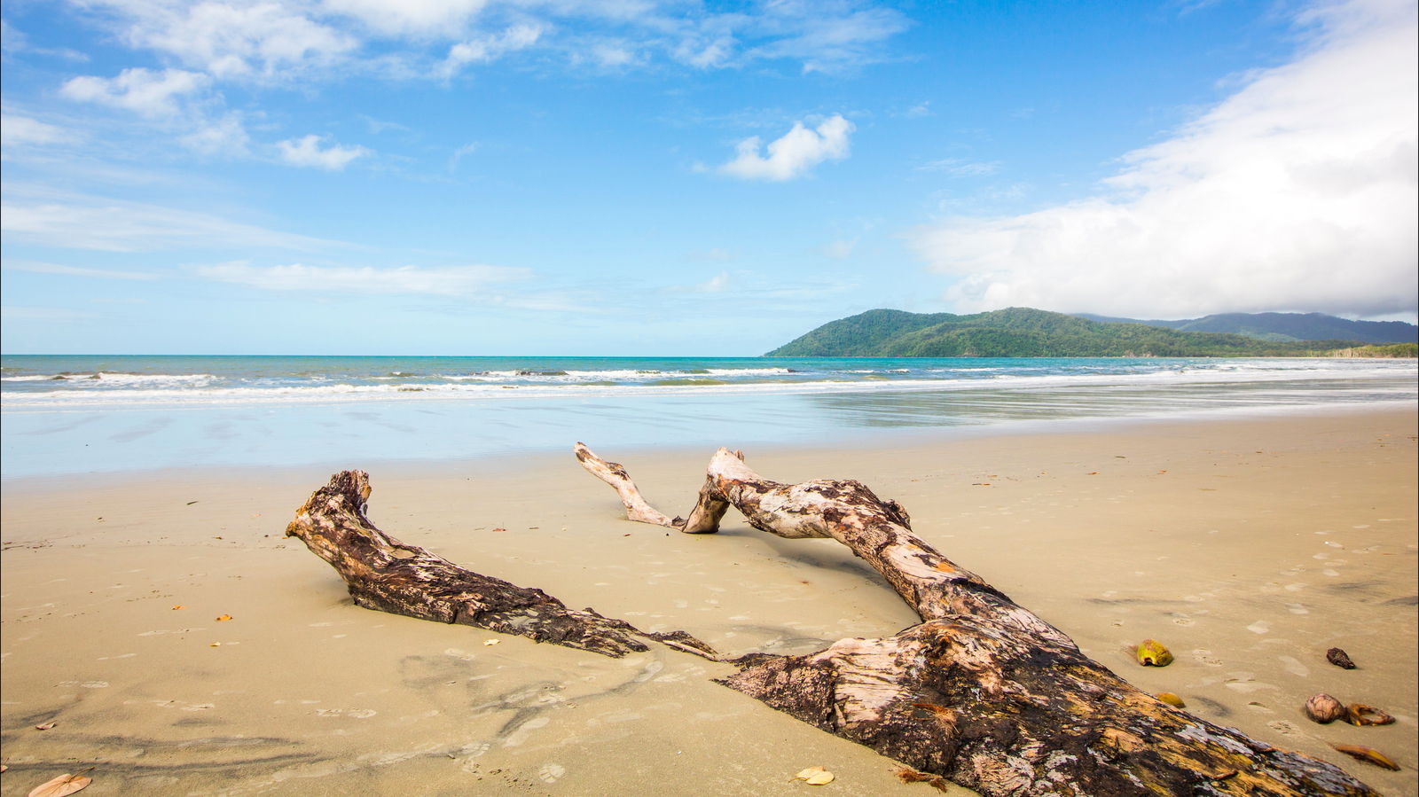 Cow Bay QLD Tourism Gold Coast